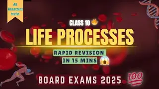 जीवन प्रक्रियाएँ कक्षा 10 | एक बार में | तीव्र पुनरावृत्ति 🔥 | NCERT