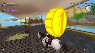 Buying a Jorvik Starter Pony!!!
