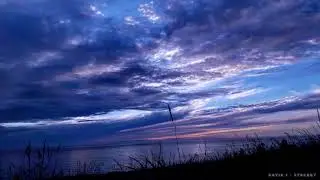 David I - Synergy [Chill / Melodic / Drone Ambient]