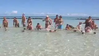 Pug meetup