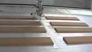 Cefla iBotic for glue