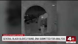 Several black gloves near Nancy Guthrie's home