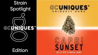 Capri Sunset - Strain Spotlight GC Uniques Edition
