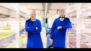 Growing Food Underground