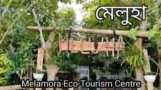 Exploring Newly Open 