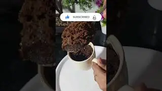 One minute chocolate mug cake recipe! | super easy super quick #shortsvideo #chocolatecupcakerecipe