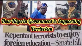 How Nigeria Government Is Supporting Terrorism . Giving Scholarships To Terrorist