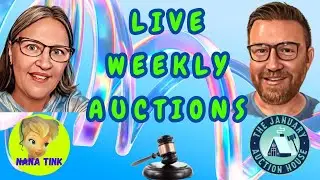 LIVE AUCTION WITH NANA TINK AND THE JANUARY AUCTION HOUSE MIKE 6/27/25