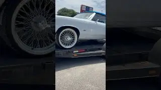 😮&zwj;💨🔥CUSTOM CUTLASS BLUE TOP and INTERIOR TURNS HEAD AT SHOW‼️#cutlass #shorts