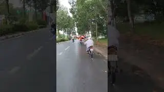 quá đỉnh kout