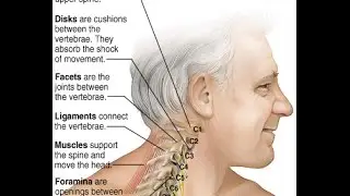 The Pain Show - We Talk About Back Pain, Neck Pain