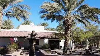 Organic Date Farm (HD) - Yuma County,  Arizona