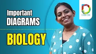 Important DIAGRAMS I SSLC Biology I DOPA FOUNDATION