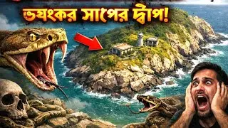 Snake Island: যে দ্বীপে মানুষ নয়, রাজত্ব করে হাজার হাজার বিষধর সাপ!