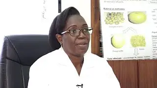 Société : Focus sur les femmes scientifiques en Côte d'Ivoire