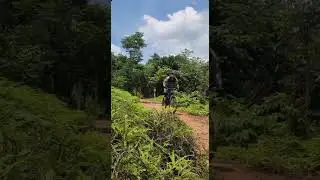 NEWBIE GAP JUMP MTB #mtb #shortsfeed #shortvideo #shorts #emtblife #enduro #enduromtb #newbie