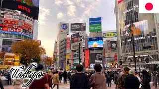 🇯🇵Tokyo Winter Walk - Shibuya District | 渋谷 -【4K 60fps】