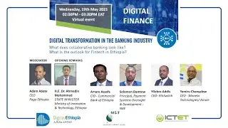 Digital Ethiopia - Finance