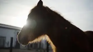 Imagefilm Kobelhof