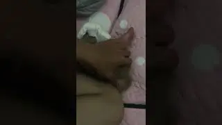 Baby Monkey go to sleep with Father :) | Cute animal videos