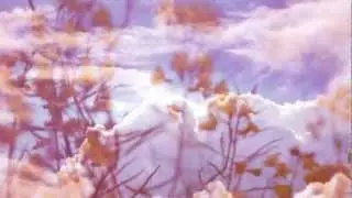 Young Wonder // Lucky One (Official Video)