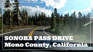 Sonora Pass Drive / California State Route 108 / 2025.08.29