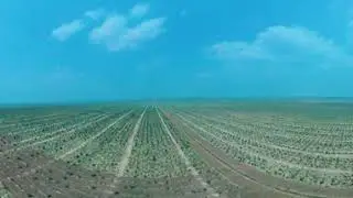 VIDEO 4K 360° projet Eco Zamba (SNPC) 1000 hectares Ngouende