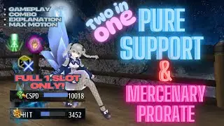 2 in 1 Build Pure Support & Mercenary Prorate