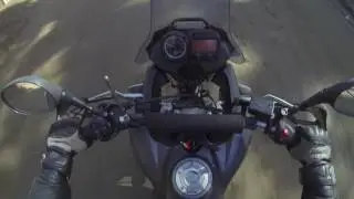 Los Pino XT660z