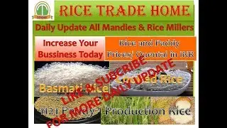 indian 1121 Basmati rice prices online  update daily