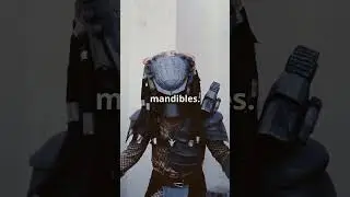 Predator Movie: Behind The Scenes & Fun Facts! #predator #youtubeshorts #mrbeast