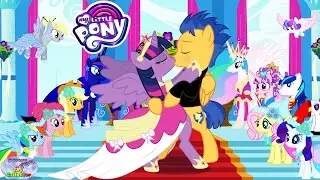 My Little Pony Twilight Sparkle Flash Sentry Love Story Wedding Surprise Egg and Toy Collector SETC
