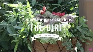 How to Plant a Hanging Basket | The Dirt | Better Homes & Gardens