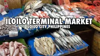 PHILIPPINES WET MARKET TOUR - ILOILO TERMINAL MARKET AFTERNOON SCENE | ILOILO CITY