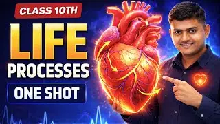 Life Processes class 10 science biology | Complete CHAPTER IN ONE SHOT |MCQs + PYQs | BOARD 2026
