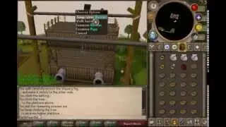 Gnome Stronghold with Summer pies