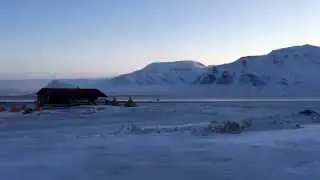 Svalbard | up close with a Svalbard reindeer