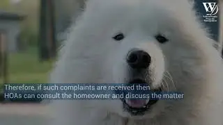 Pet Safety in HOAs | HOA Association Management | Charlotte NC