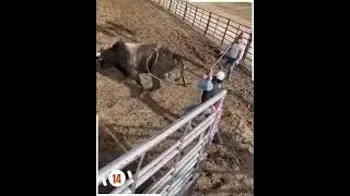 fails #laugh #bychance #laughing #funny #viral #funnyvedio #justlaugh #most #trending #favorite