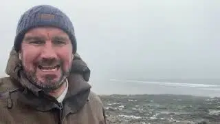 Difference between waves and swell
