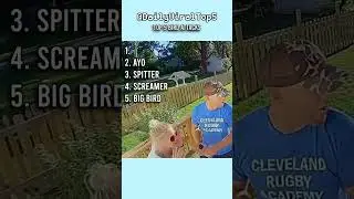 Top 5 Bird Attacks #funny #DailyViralTop5