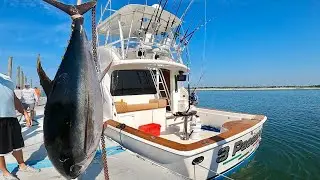 Bigeye Tuna at Sunset in the Northeast Canyons