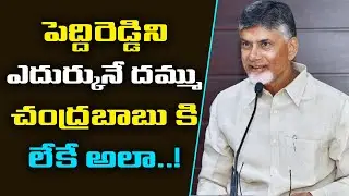 Why Chandrababu fear About peddireddy ramachandra reddy | YS Jagan | ap politics latest updates