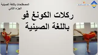كونغ فو Wushu kung Fu || ركلات الكونغ فو باللغة الصينية