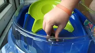 BEYBLADE BURST | HYPERSPHERE BATTLE | PRIME APOCALYPSE A5 vs GOLDEN JUDGEMENT DRAGON D5