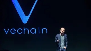 Vechain Interview with CEO Sunny Lu