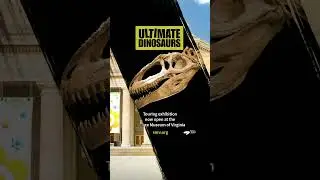 Ultimate Dinosaurs