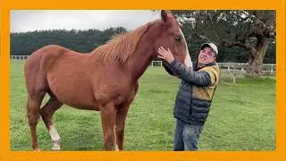 KAVANAGH RACING WEEKLY UPDATE 13 6 24
