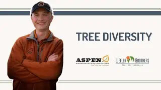 Tree Diversity | Tree Talk with Sam