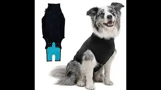 Recovery Suit for your Dog